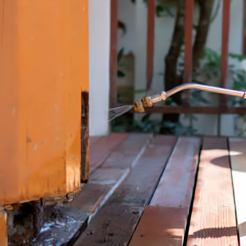 Termite Control Services